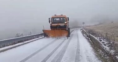 VIDEO/ Reshje dëbore në Kukës, nuk raportohen probleme në qarkullimin e mjeteve