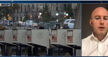 Harris apo Trump? Krisafi: Gara është e ngushtë, ka një dallim shumë të madh ideologjik mes dy palëve