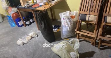 Kokainë në lëkurët e gjedhit/ Ekspertiza provoi praninë e drogës në ngarkesën e kapur