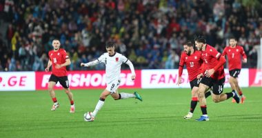 UEFA gjobit FSHF-në për incidentet e shkaktuara nga tifozët shqiptarë në ndeshjen Gjeorgji-Shqipëri