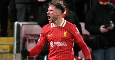 Fillon festa në “Anfield”, Mac Allister ndëshkon “Galaktikët” e Real Madrid