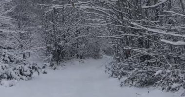 Vijon bora me intensitet të lartë në Parkun Shebenikut, paralajmërohen bllokim rrugësh