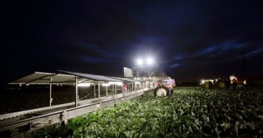 Fermerët amerikanë kundër dëbimit të emigrantëve të paligjshëm që punojnë në bujqësi