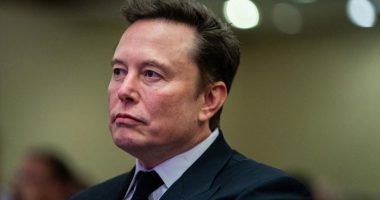 Musk: Mua dhe Trump na është dhënë një mandat për ndryshim