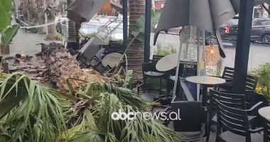 VIDEO/ Moti i keq shkakton dëme në Durrës, rrëzohen disa palma në trotuare