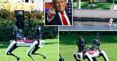 Qen robotë ruajnë Trump/ “Shtohet” garda personale e presidentit të zgjedhur