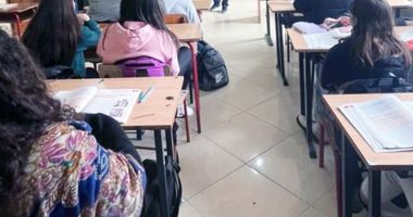 Devoll/ 13-vjeçari me biçak në shkollë, ia gjen mësuesja në çantë