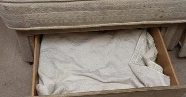 E pazakontë/ Nëna e mbajti të bijën në sirtar për 3 vite, e fshehu nga partneri