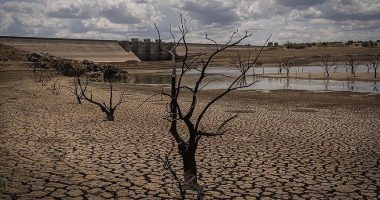 OBSH: Deri në vitin 2050, rreth 1,2 miliardë njerëz mund të zhvendosen për shkak të klimës