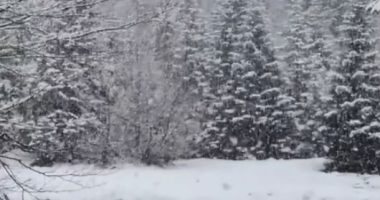 Rama ndan pamjet nga Puka e mbuluar me dëborë: Një copëz përralle dimri