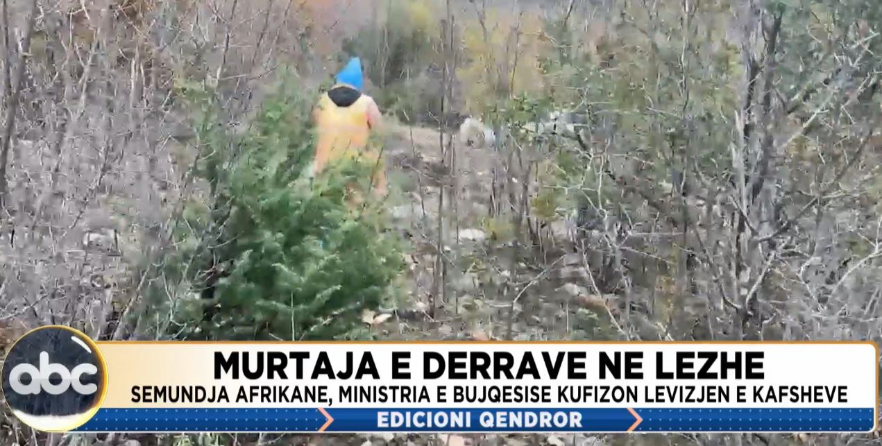 Murtaja e derrave në Lezhë, Ministria e Bujqësisë kufizon lëvizjen e kafshëve