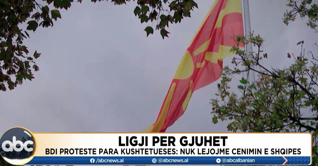 Ligji për gjuhët/ BDI protestë përpara Kushtetueses: Nuk lejojmë cënimin e shqipes