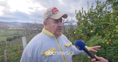 Mjalti “magjik” në Apolloni/ Bletërritesi Muskaj: Unë ua jap turistëve të kujtojnë Shqipërinë