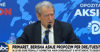 Primaret, Berisha asnjë propozim për drejtuesit/ Ia lë në dorë Këshillit Kombëtar, nisin dorëheqjet e kryetarëve të degëve