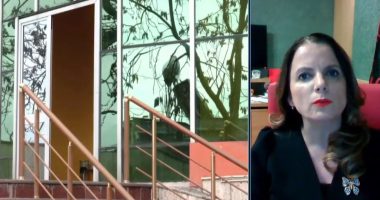 “Gripi, më të prekur fëmijët dhe të moshuarit/ Tomini për “ABC News”: 5 mijë raste në moshën 5-vjeç