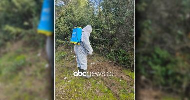 VIDEO/ Gripi i shpendëve, grupet e punës në terren, monitorim dhe dezinfektim në Lagunën e Karavastasë