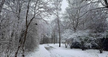 Gjermani, meteorologët japin alarmin për reshje dëbora dhe ngrica