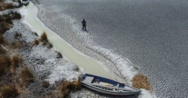 Gati një e katërta e specieve në ujërat e ëmbla rrezikohen të zhduken