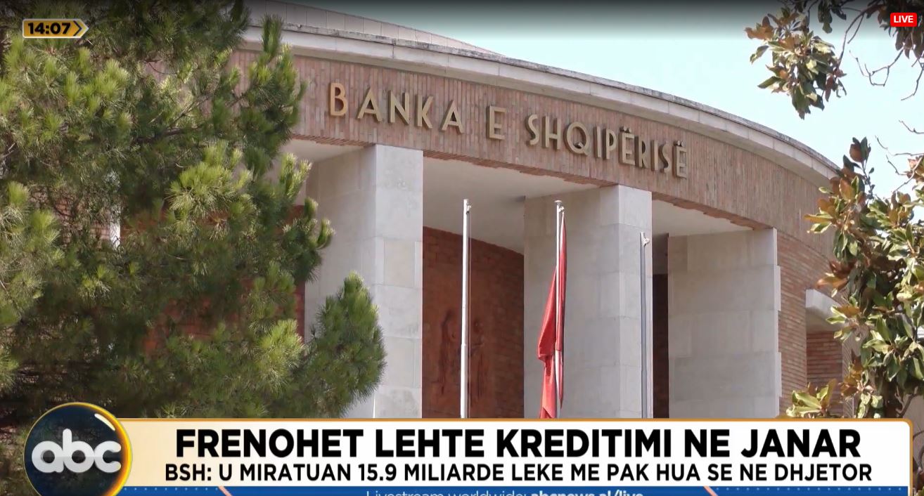 Frenohet lehtë kreditimi në Janar/ BSH: U miratuan 15.9 miliardë lekë më pak hua se në dhjetor, por u rrit me 13.5 % kundrejt janarit 2024