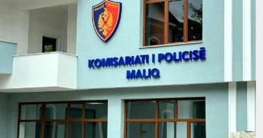 Përshtatën një lokal për të luajtur Poker, arrestohen pronari dhe bashkëpunëtori i tij në Maliq