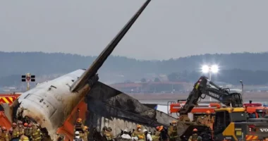 Aeroportet në Korenë e Jugut instalojnë kamera detektuese të zogjve