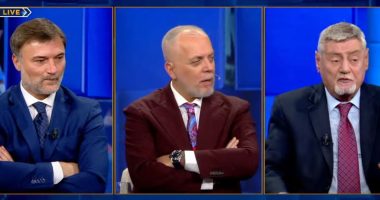 Vota e Diasporës/ Alibeaj: Ata do kenë përfaqësuesit e tyre! Shehi: Në Tiranë kemi dy apo tre emra që…