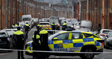 Sulm me thikë në Irlandë, raportohet për disa të plagosur