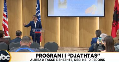 Programi i “Djathtas”/ Alibeaj: Taksë e sheshtë, deri në 10 përqind