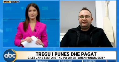 Tregu i punës/ Eksperti: Kërkesa të larta për punonjës të thjeshtë. Sfidë, ulja e papunësisë në grupmoshën e të rinjve