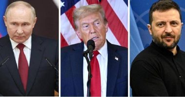 Trump: Putin dhe Zelensky duan paqe