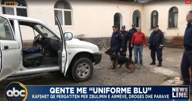 Qentë me “uniformë blu”/ Kafshët që përgatiten për zbulimin e armëve, drogës dhe parave