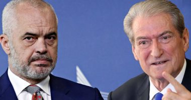 Rama ironizon Berishën: Bufi i Kënetës është një plaçkitës folesh, konsiderohet një specie shumë armiqësore