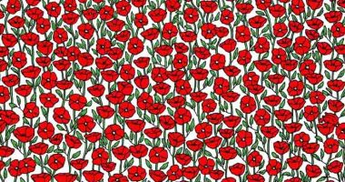 Test/ A mund ta dalloni gaforren e fshehur? Vetëm 5% e njerëzve e gjejnë zgjidhjen