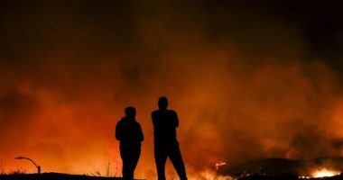 Kompania amerikane e sigurimeve paguan 1.1 miliardë dollarë për zjarret në Kaliforni