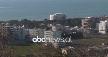 Insekti që than pishat/ “Breshkëza” shfaqet në brezin pyjor në Malin e Robit dhe Golem