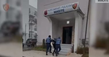 Po transportonte armë dhe municion luftarak, arrestohet 15-vjeçari nga Burreli