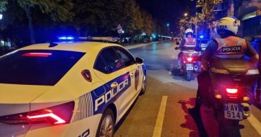 Operacion policor në Fier/ Sekuestrohen dy armë zjarri, shoqërohet një person