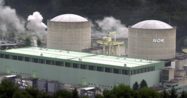 Mbyllet termocentrali bërthamor i Zvicrës, ekspertët zbulojnë shkakun