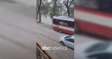 VIDEO/ Breshër në zonën e Frakullës, dëmtohen pemët frutore