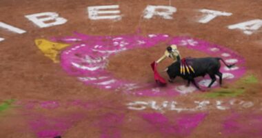 Ligjvënësit në Mexico City ndalojnë ndeshjet e dhunshme me dema