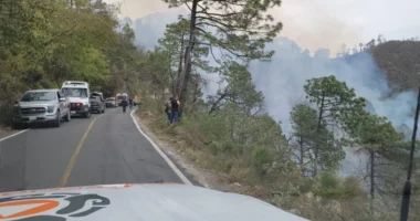 VIDEO/ Aksident në Meksikë, 12 viktima dhe 4 të plagosur