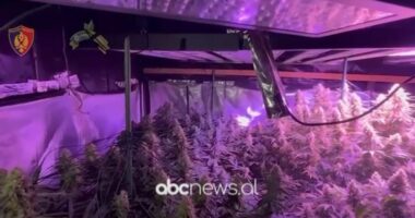 U kthyen nga Anglia dhe kthyen banesën në ‘shtëpi bari’, Gjykata lë në burg dy vëllezërit Matraxhi