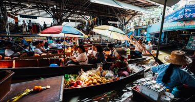 Tregjet lundruese të Vietnamit, atraksion unik për turistët