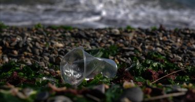 Studimi: Mikroplastika rrit rezistencën ndaj antibiotikëve, vendbanimet e refugjatëve në rrezik më të lartë