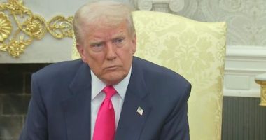 Trump, marrëveshje me Kinën? I ofron ulje të tarifave në këmbim të Tik Tok