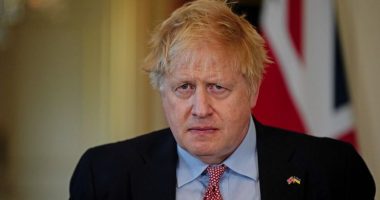 Pushimet familjare të Boris Johnson nuk shkojnë ashtu siç i kishte menduar! Ish-kryeministri i Britanisë kafshohet nga struci