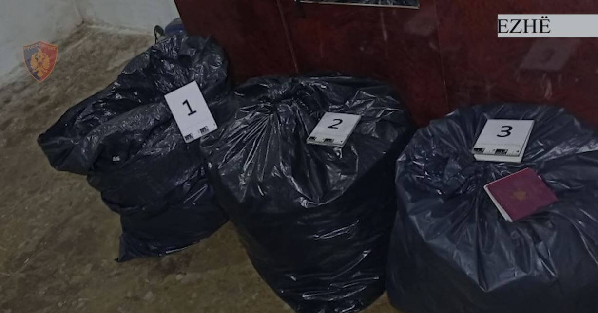 Shisnin drogë në Lezhë/ Kapen në flagrancë trafikantët, sekuestrohen 34 kilogramë kanabis