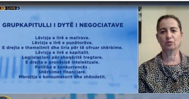 Bashkëpunimi rajonal, jetike për anëtarësimin në BE/ Ekspertja Nunaj: Bizneset duhet të rrisin bashkëveprimin