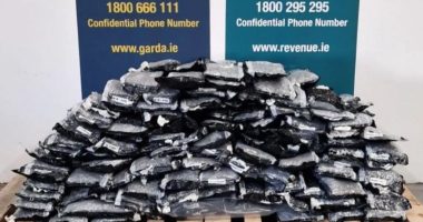 Sekuestrohet kanabis me vlerë 2.2 milion Euro në një qark të Irlandës