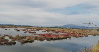Laguna e Patokut, “magnet” për turistët/ Interes nga vendas dhe të huaj, shtohen rezervimet